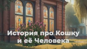 История про Кошку и ее Человека
