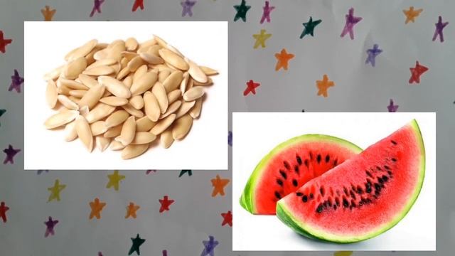 Какие семечки и орешки можно давать хомякам?? смотреть онлайн