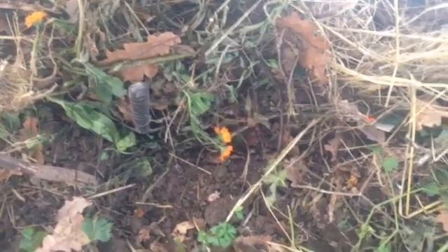 Использование теплицы с ранней весны до поздней осени