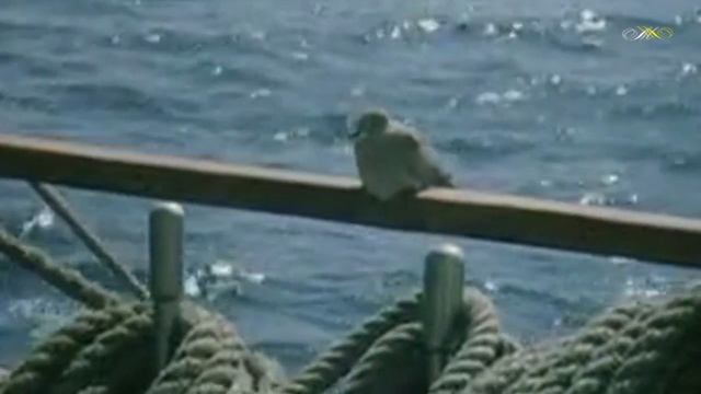 Хор ЦДДЖ - Свежий ветер смотреть онлайн