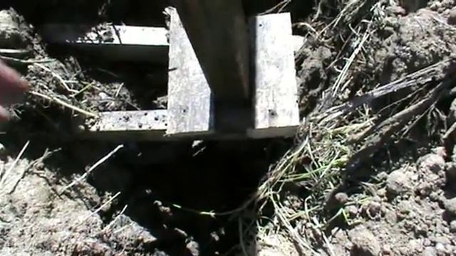 Женские хобби и увлечения