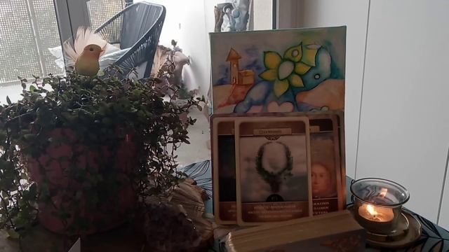 spécial Toussaint : "que font nos défunts +Oracle Sibylle (Amour) ? смотреть онлайн