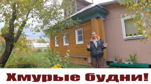 Минус полстада, сил не всегда хватает, разъезды и хмурые будни в деревне!