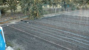 САМЫЙ КАЧЕСТВЕННЫЙ ПОЛИВ ДЛИННЫХ ГРЯДОК