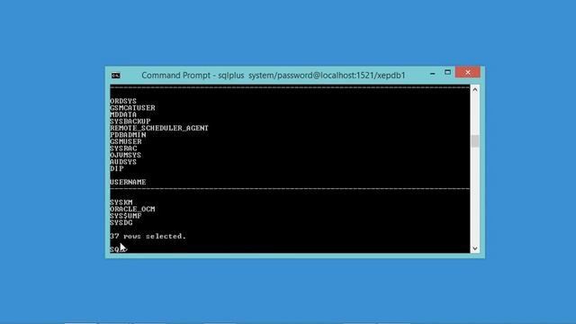 Install Oracle Database Express 18c and SQL Developer 2021 on Windows смотреть онлайн