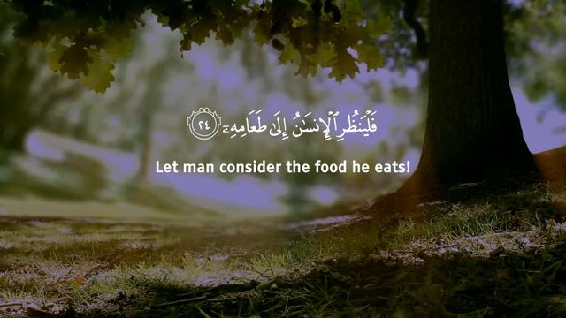 Surah Abasa (Be Heaven) سلسلة كن جنة - سورة عبس смотреть онлайн