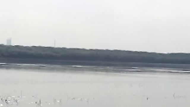 река Томь, речные чайки хохочут. смотреть онлайн