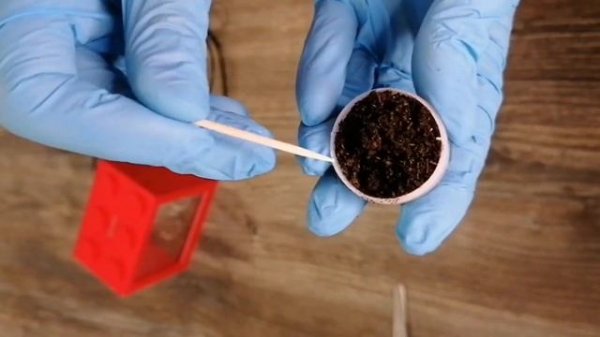 Живые рыбки с Алиэкспресс. Распаковка с AliExpress. Икра рыбок Killifish. ИНКУБАЦИЯ икры Килли