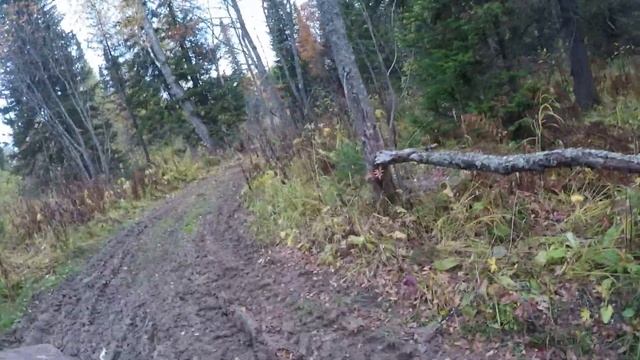Центральный Федотово Кожух ч.1 смотреть онлайн