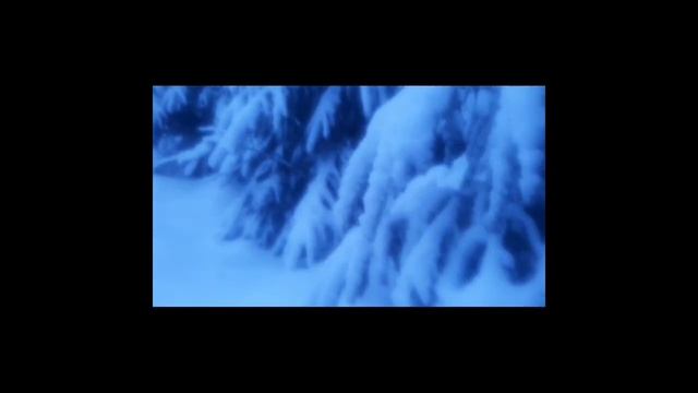 Кунье эльдорадо. 3 часть. Охота на куницу с лайкой. смотреть онлайн