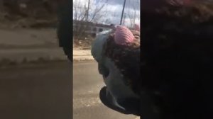 Ежик Боря встрял на Лобненском переезде