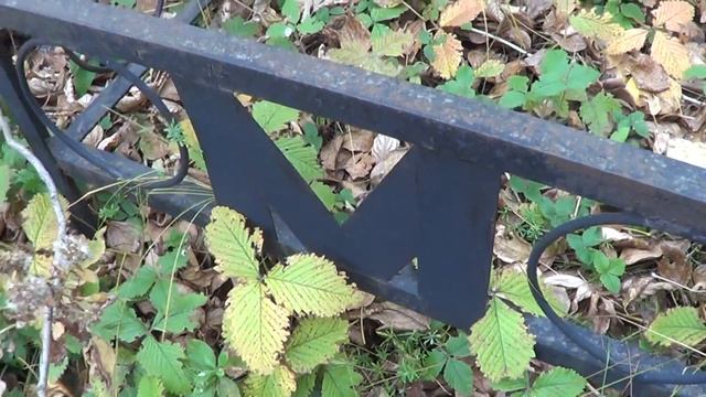 Настоящая могила Марины Цветаевой смотреть онлайн