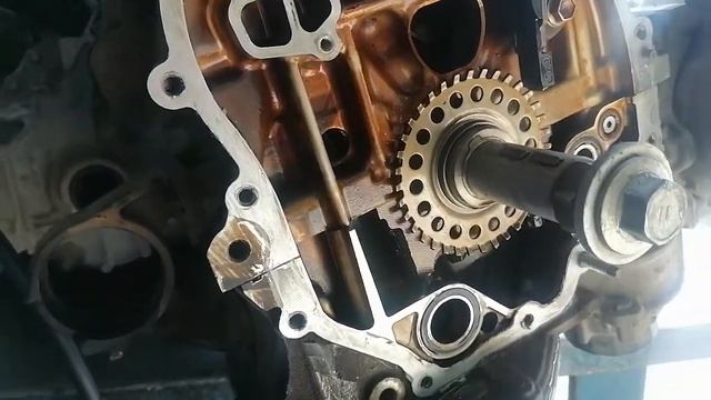 # 2012 model Toyota Rav 4 timing chain sitting смотреть онлайн