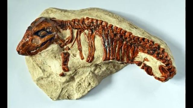 Тринаксодон смотреть онлайн