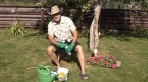 удобрения Радуга Идеал