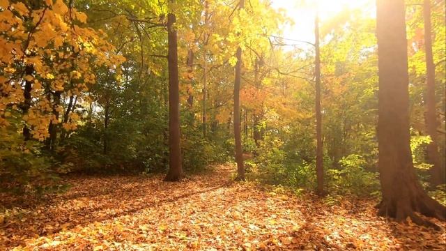 ?Relax | Meditation Music I Музыка для расслабления и медитации.