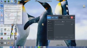 Как сменить язык в Игре скайрим