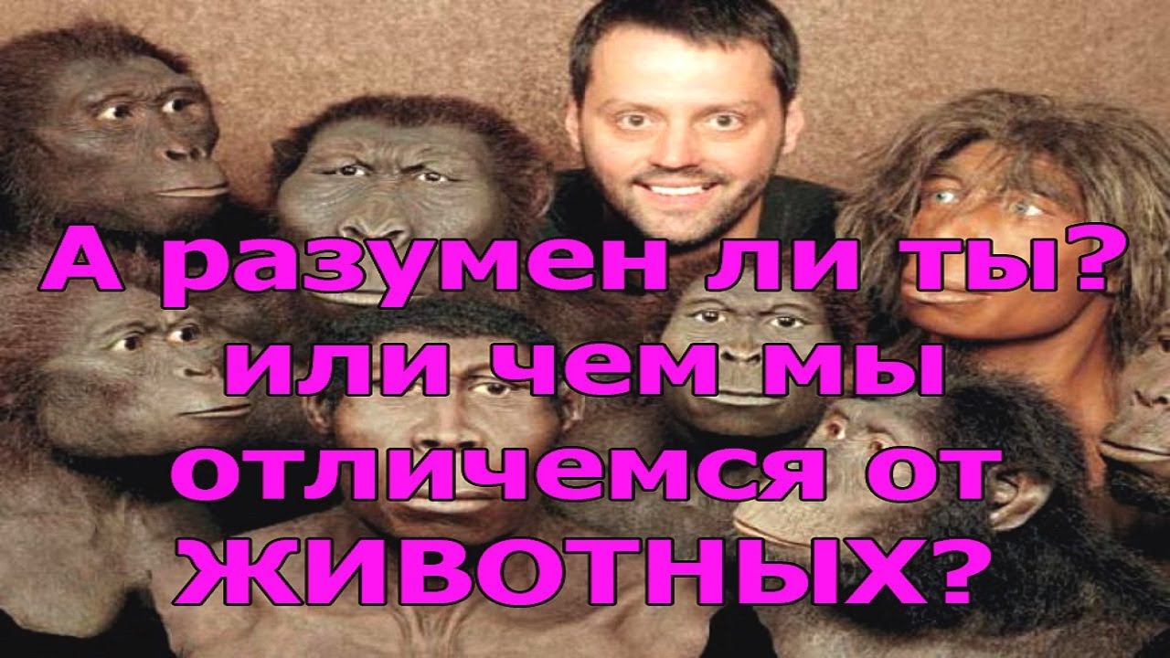 ДЛЯ ЧЕГО ЧЕЛОВЕКУ РАЗУМ? смотреть онлайн