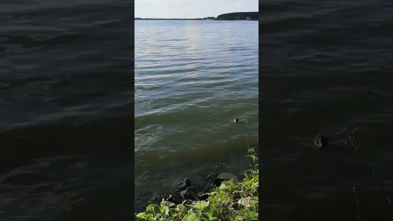 Остановись и наслаждайся смотреть онлайн