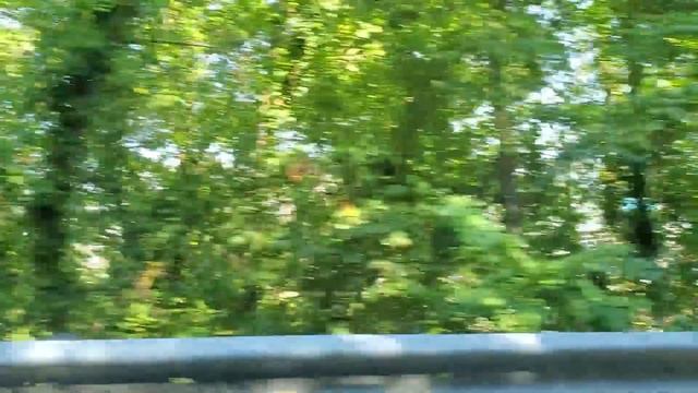 ВЛОГ: Наша РЕАКЦИЯ на Хейтеров! Что Учудила Лика на Пляже. смотреть онлайн