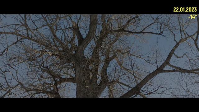 Река Татьянка - январь 2023 смотреть онлайн