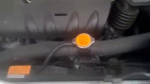 щелчки клапана адсорбера Outlander XL