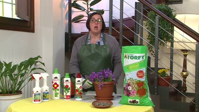 CIFO - Ascolta le tue piante - La Campanula смотреть онлайн