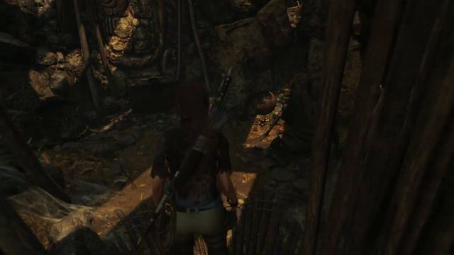 SOTTR Документ Базовый Лагерь Обломки самолёта Перуанские джунгли Последнее письмо Фосетта смотреть онлайн