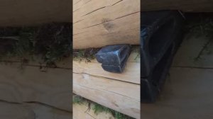 Правильная конопатка на мох в одного.