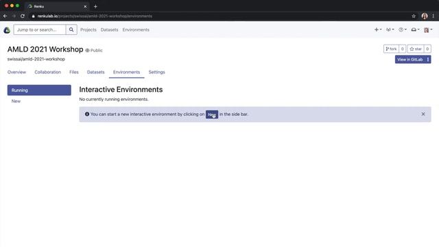 How to start an interactive session on RenkuLab смотреть онлайн