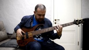 Антон Давидянц - Peavey Cirrus 5 Bubinga-Walnut 1999 USA