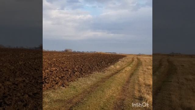 Декабрь погода радует ' копаем. смотреть онлайн