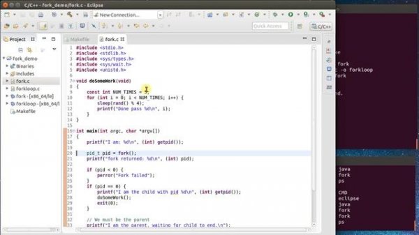 Linux fork() Introduction