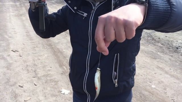 Ловля верховодки на бомбарду(сбирулину) смотреть онлайн