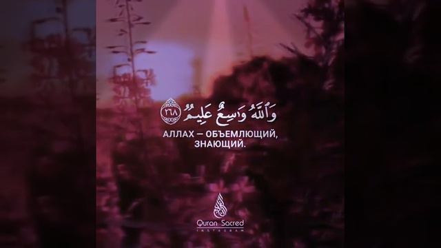 Qoran Коран Құран  Перевод Аята из Корана