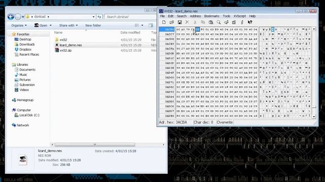 HIDDEN SECRET FOUND BY HACKER IN NES GAME LIZARD смотреть онлайн