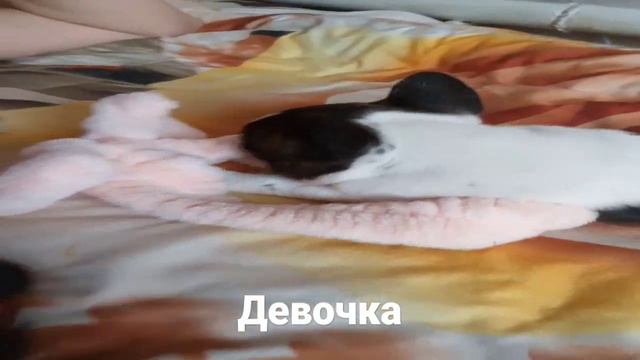 11 марта 2023 г. смотреть онлайн