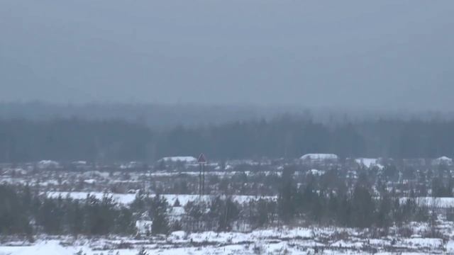 Сосновый лес смотреть онлайн