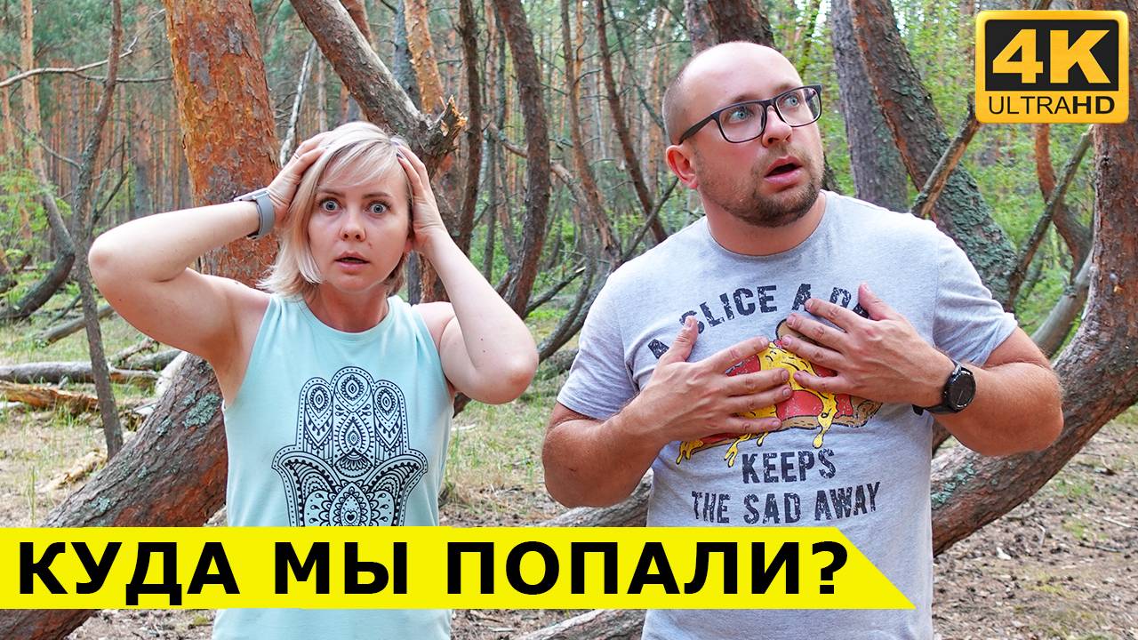 От Петровских бастионов до МИСТИЧЕСКОГО ЛЕСА по дорогам большой страны смотреть онлайн