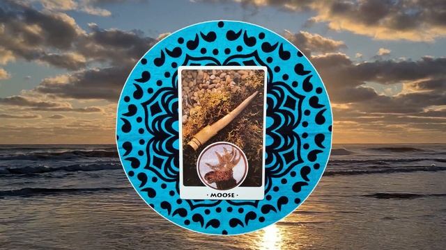 TIMELESS AND INSPIRATIONAL ORACLE MESSAGES - What does Power Animal Spirit want to tell you today? смотреть онлайн