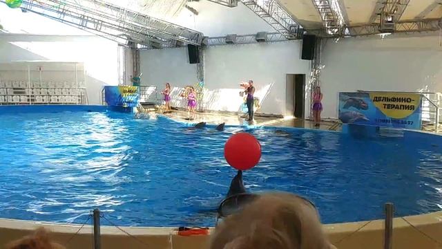 Анапа, дельфинарий Немо на Пионерском проспекте. Краткий обзор всего представления смотреть онлайн