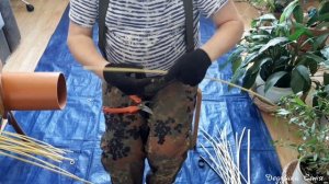 Лента из пропаренного прута ивы / Ribbon of steamed willow rod @DeduschkaSanja