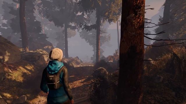 Through the Woods Gameplay (PC HD) смотреть онлайн