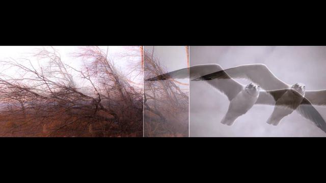 Open River Music of the Andes Tan Alta Que Esta la Luna How High the Moon смотреть онлайн