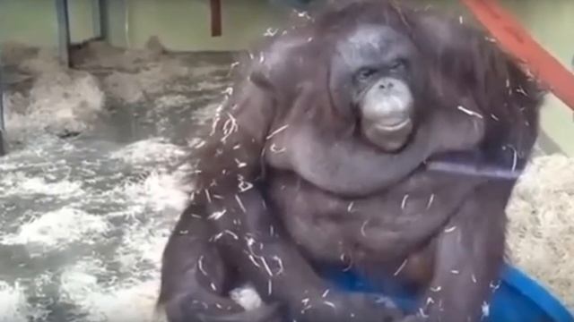 файл.png смотреть онлайн