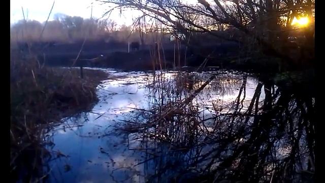 Построили плотину на ручье! смотреть онлайн