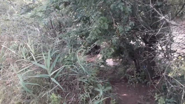 ПОДЪЁМ ВОДЫ В РЕКЕ КУМА. смотреть онлайн