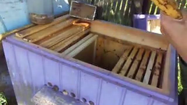 Деление отроившейся семьи Пчел . Делаем отводки . смотреть онлайн