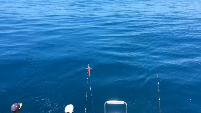 Рыбалка марлин пхукет смотреть онлайн