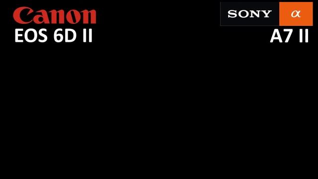 Canon EOS 6D Mark II Vs Sony Alpha 7 Mark II [] Camera Comparison